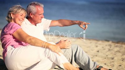 Portrait of Contented Senior Couple