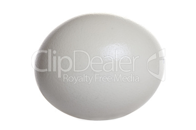 Isolated ostrich egg