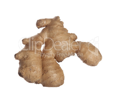 Isolated ginger root