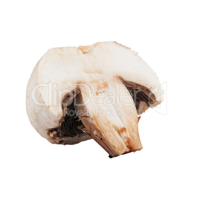 Isolated mushroom half