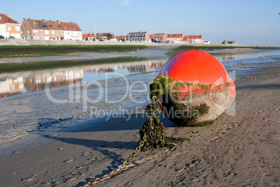 Bouy lying on the coast