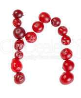 n letter made from cranberry