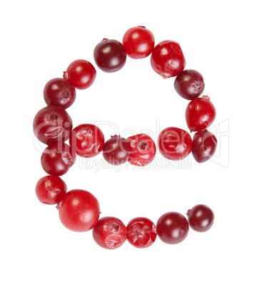 e letter made from cranberry