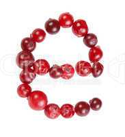 e letter made from cranberry