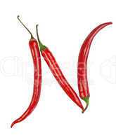 N letter made from chili