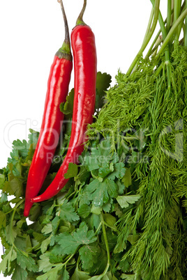 red chili, parsley, dill