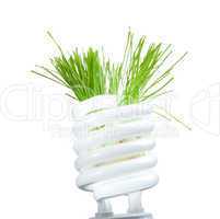 Green grass growing from lamp isolated on white