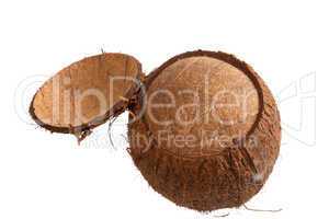 Half open coconut