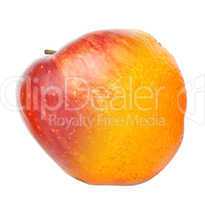 Orange-apple