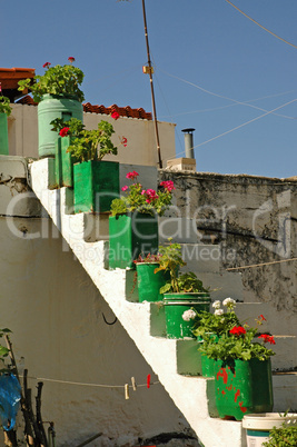 Blumen auf einer Treppe