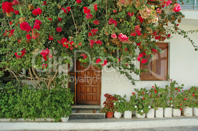 Blumen an einem Haus in Ierapetra