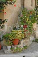 Blumen an einem Haus in Mirtos, Kreta