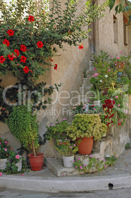 Blumen an einem Haus in Mirtos, Kreta