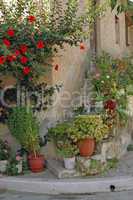 Blumen an einem Haus in Mirtos, Kreta