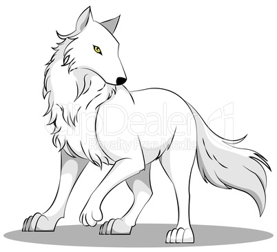 weißer Wolf