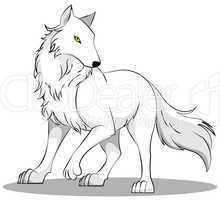 weißer Wolf