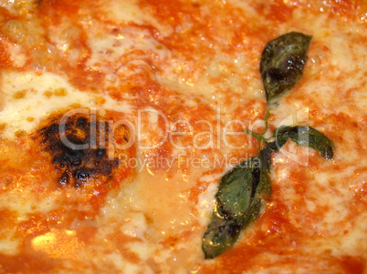 Pizza Margherita