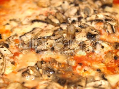 Mushroom Pizza