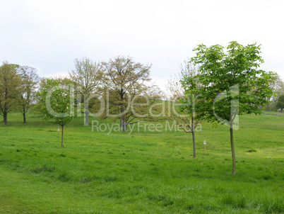 Primrose Hill, London