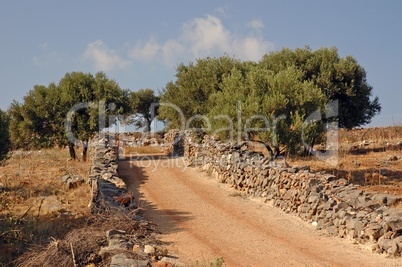 Feldweg bei Elounda, Kreta