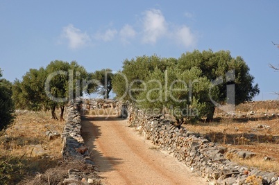 Feldweg bei Elounda, Kreta