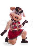 Swine mascot costume dance striptease in hat
