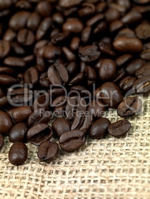 Coffee Beans