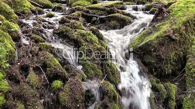 Wasserfall im Wald - Video - Waterfall in Forest