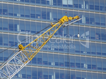 Crane