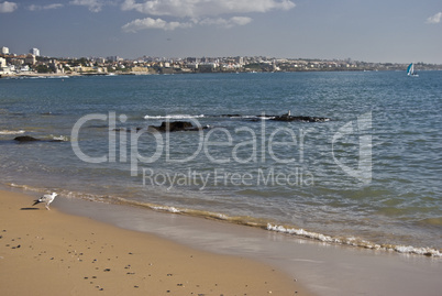 Beach in Cascais