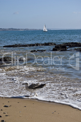 Beach in Cascais