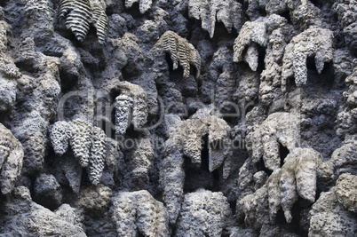 Wall of stalactites