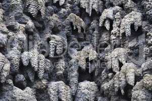 Wall of stalactites