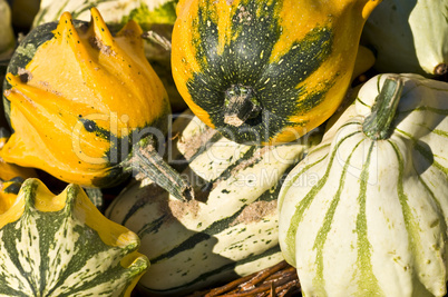 Pumpkins