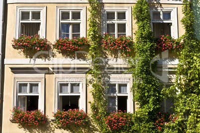 Old palaces in Prague