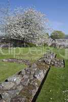 Foundations of Melrose Abbey