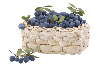 small basket, full of fresh blueberries
