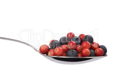 full spoon of blueberries and cranberries