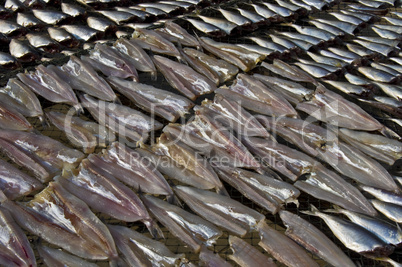 Dry fish