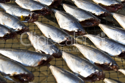 Dry fish