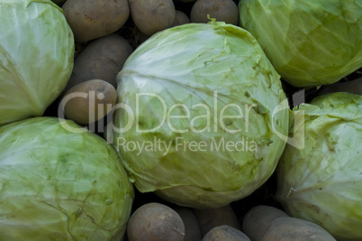 Cabbage and potatos