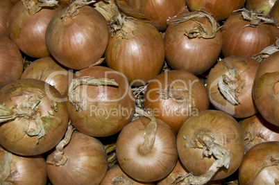 Onions