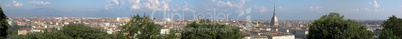 Turin view