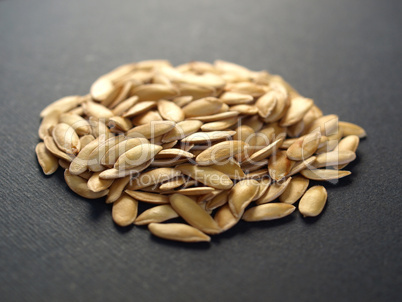 Melon seeds