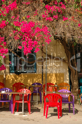 Blumen an einem Cafenion auf Kreta