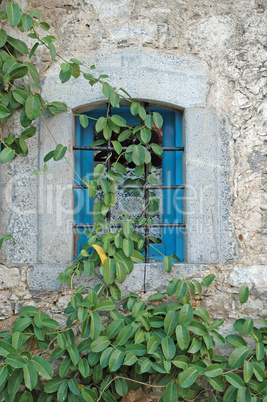 Bewachsenes Fenster auf Kreta