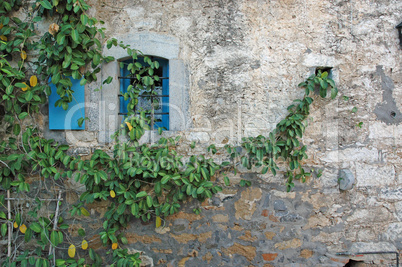 Bewachsenes Fenster auf Kreta