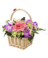 Bouquet of flowers in the basket