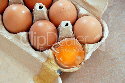 Eggs in box