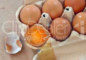 Eggs in box